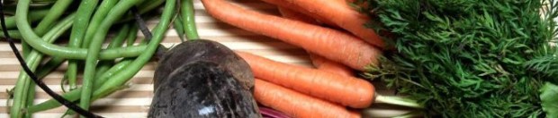 Canned Text Proposal Soup1